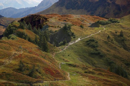 découvrez des paysages époustouflants et des sites emblématiques grâce à notre visite guidée. profitez d'une expérience immersive avec un guide expert qui partagera des anecdotes fascinantes et des informations locales. réservez dès maintenant pour une aventure inoubliable !
