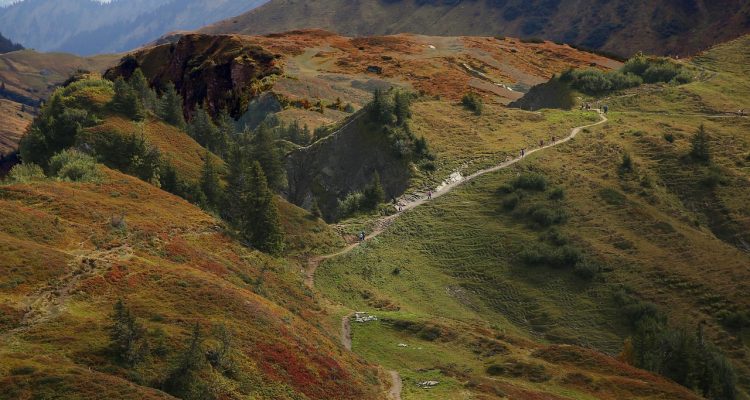 découvrez des paysages époustouflants et des sites emblématiques grâce à notre visite guidée. profitez d'une expérience immersive avec un guide expert qui partagera des anecdotes fascinantes et des informations locales. réservez dès maintenant pour une aventure inoubliable !