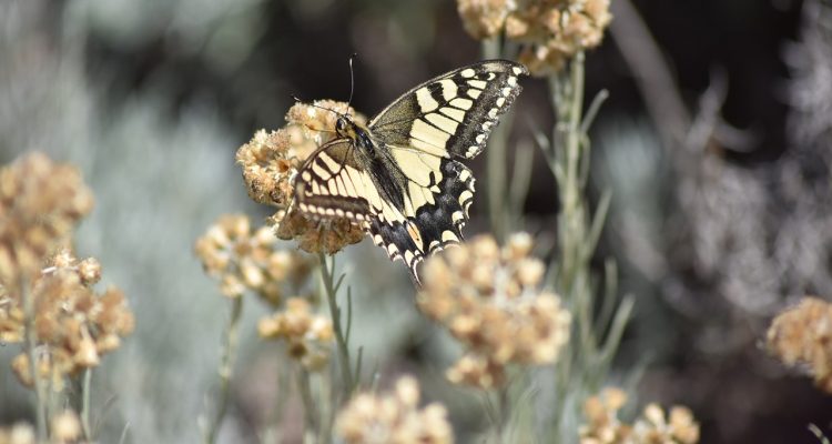 découvrez des destinations surprenantes qui éveilleront votre curiosité et enrichiront vos voyages. explorez des lieux inattendus, des cultures fascinantes et des paysages à couper le souffle qui vous sortiront des sentiers battus.