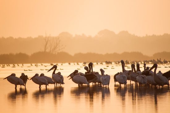 découvrez l'écotourisme : une manière responsable et durable de voyager en harmonie avec la nature. explorez des destinations authentiques tout en préservant notre environnement et en soutenant les communautés locales.
