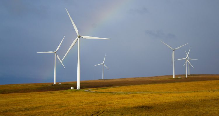 découvrez l'essence du voyage durable : explorez des destinations écoresponsables, adoptez des pratiques respectueuses de l'environnement et vivez des expériences enrichissantes tout en préservant notre planète.