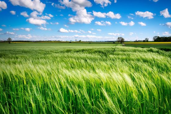 découvrez une variété d'activités agricoles enrichissantes pour toute la famille. participez à la récolte, aux soins des animaux et explorez la vie à la ferme tout en vous immergeant dans la nature.