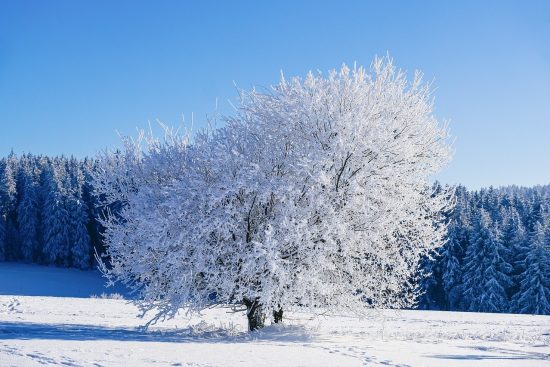 découvrez nos meilleures destinations d'hiver, idéales pour des escapades magiques. que vous soyez passionné de ski, de paysages enneigés ou de traditions festives, trouvez l'endroit parfait pour vivre des aventures inoubliables cet hiver.
