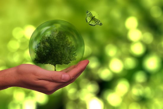 découvrez l'importance de la durabilité dans notre vie quotidienne. apprenez comment adopter des pratiques écoresponsables pour préserver notre planète pour les générations futures.