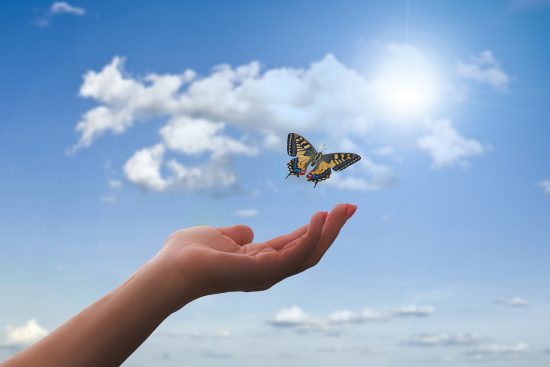 découvrez des activités de bien-être qui nourrissent votre corps et votre esprit. des séances de yoga apaisantes aux ateliers de méditation revitalisants, explorez des méthodes pour améliorer votre santé et votre qualité de vie. embarquez pour un voyage vers une meilleure version de vous-même.