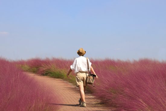 découvrez des destinations fascinantes et des expériences inoubliables qui éveilleront votre esprit d'aventure. laissez-vous inspirer par des récits de voyages captivants et des conseils pratiques pour explorer le monde avec passion.