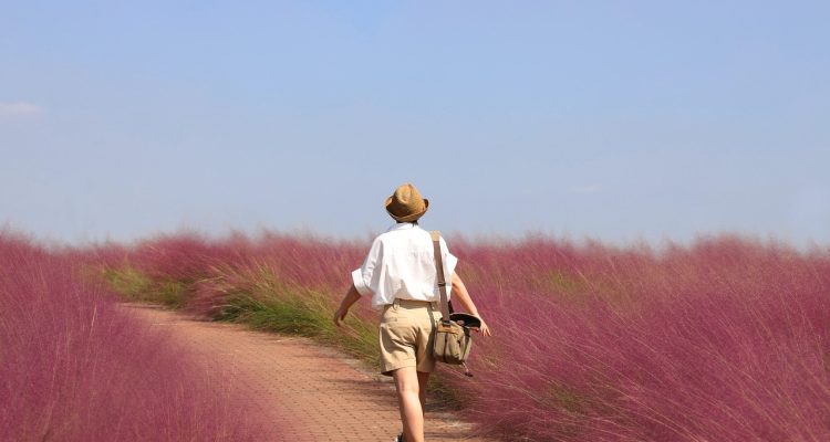 découvrez des destinations fascinantes et des expériences inoubliables qui éveilleront votre esprit d'aventure. laissez-vous inspirer par des récits de voyages captivants et des conseils pratiques pour explorer le monde avec passion.
