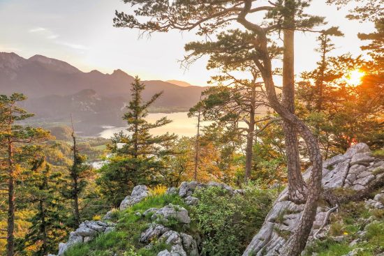 découvrez nos conseils essentiels pour la randonnée : équipements indispensables, sécurité, préparation des itinéraires et astuces pour profiter au maximum de vos aventures en pleine nature.