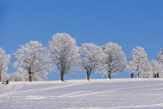 découvrez les meilleures destinations pour un voyage hivernal inoubliable. explorez des paysages enneigés, profitez d'activités de plein air et plongez dans l'ambiance chaleureuse des marchés de noël. préparez-vous à vivre la magie de l'hiver avec nos conseils pratiques et inspirations de voyage.