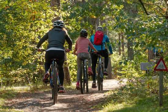 découvrez des escapades inoubliables à travers des destinations enchanteuses et des expériences uniques qui stimuleront votre esprit d'aventure. parfait pour une pause détente ou une exploration active, nos séjours vous promettent des souvenirs mémorables.