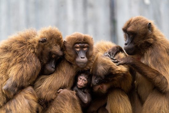 découvrez des activités familiales passionnantes et enrichissantes pour tous les âges. profitez de moments de complicité avec vos proches grâce à des jeux, des sorties en plein air et des loisirs créatifs qui renforceront les liens familiaux.