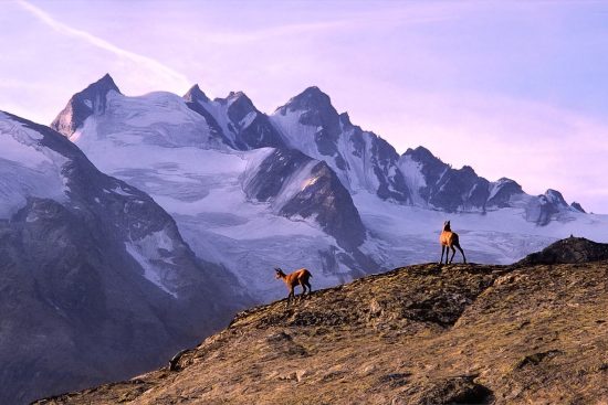 découvrez des activités incontournables à faire dans les parcs nationaux : randonnée, observation de la faune, camping et exploration de paysages à couper le souffle. préparez votre prochaine aventure en pleine nature !