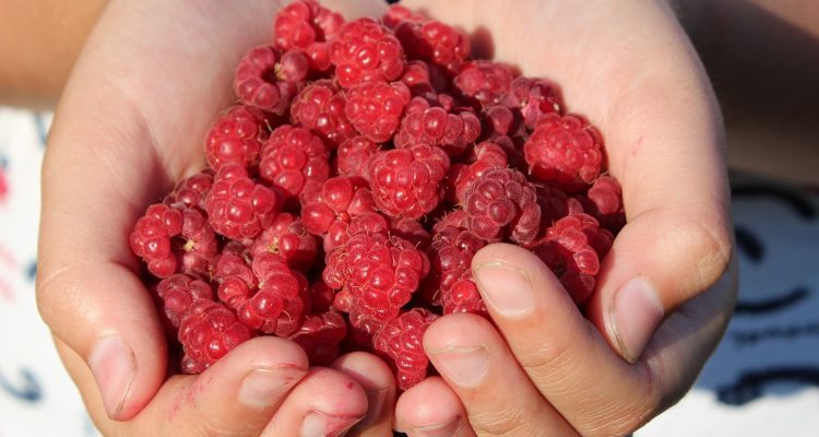 découvrez les avantages du voyage culturel : enrichissement personnel, immersion dans des traditions variées et création de liens authentiques. explorez comment ces expériences uniques ouvrent votre esprit et enrichissent votre vie.