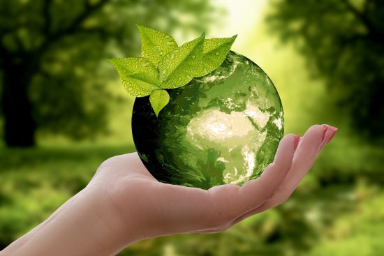 découvrez l'importance de la durabilité pour préserver notre planète. explorez des pratiques écologiques, des innovations durables et des modes de vie responsables qui favorisent un avenir meilleur pour les générations futures.