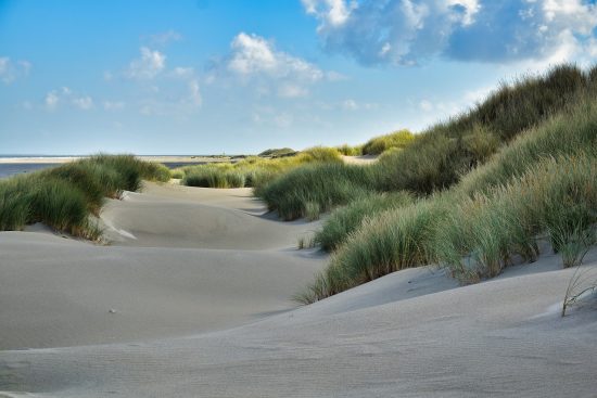 évadez-vous sur les plages de rêve avec notre guide complet pour un séjour balnéaire inoubliable. découvrez les destinations idéales, les activités incontournables et des conseils pour profiter pleinement de votre escapade au bord de la mer.