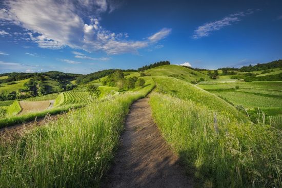 découvrez l'univers fascinant des fermes : des pratiques agricoles durables aux produits locaux frais. explorez nos conseils pour visiter des fermes, comprendre leur rôle dans l'écosystème et soutenir l'agriculture responsable.