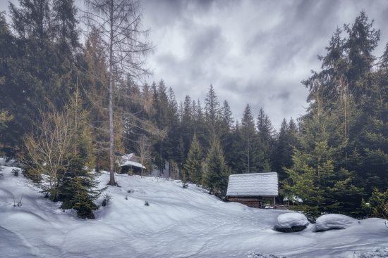 découvrez le charme unique d'un lodge, un refuge convivial en pleine nature. profitez d'un séjour relaxant, alliant confort et aventure, entouré de paysages époustouflants. évadez-vous et ressentez la magie des grands espaces.