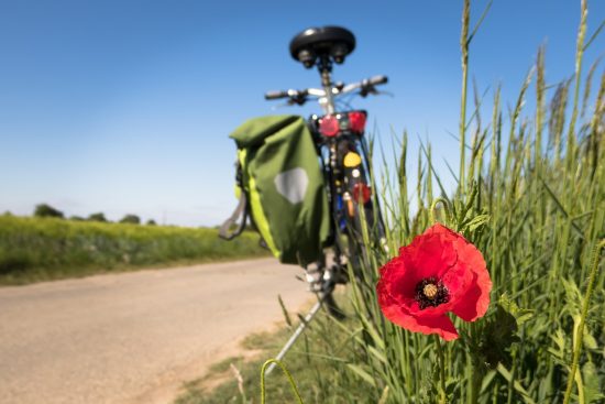 découvrez une multitude d'activités de plein air excitantes pour tous les âges et niveaux. que vous soyez amateur de randonnée, de cyclisme ou d'escalade, trouvez l'inspiration pour profiter pleinement de la nature et vous ressourcer lors de vos aventures en extérieur.