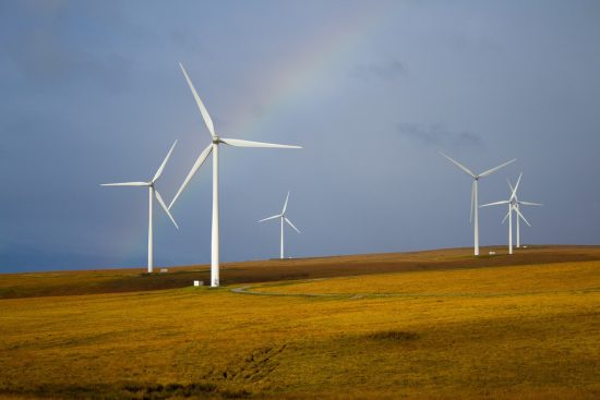 découvrez le voyage durable : explorez des destinations écologiques, adoptez des pratiques respectueuses de l'environnement et profitez d'expériences authentiques tout en préservant notre planète.